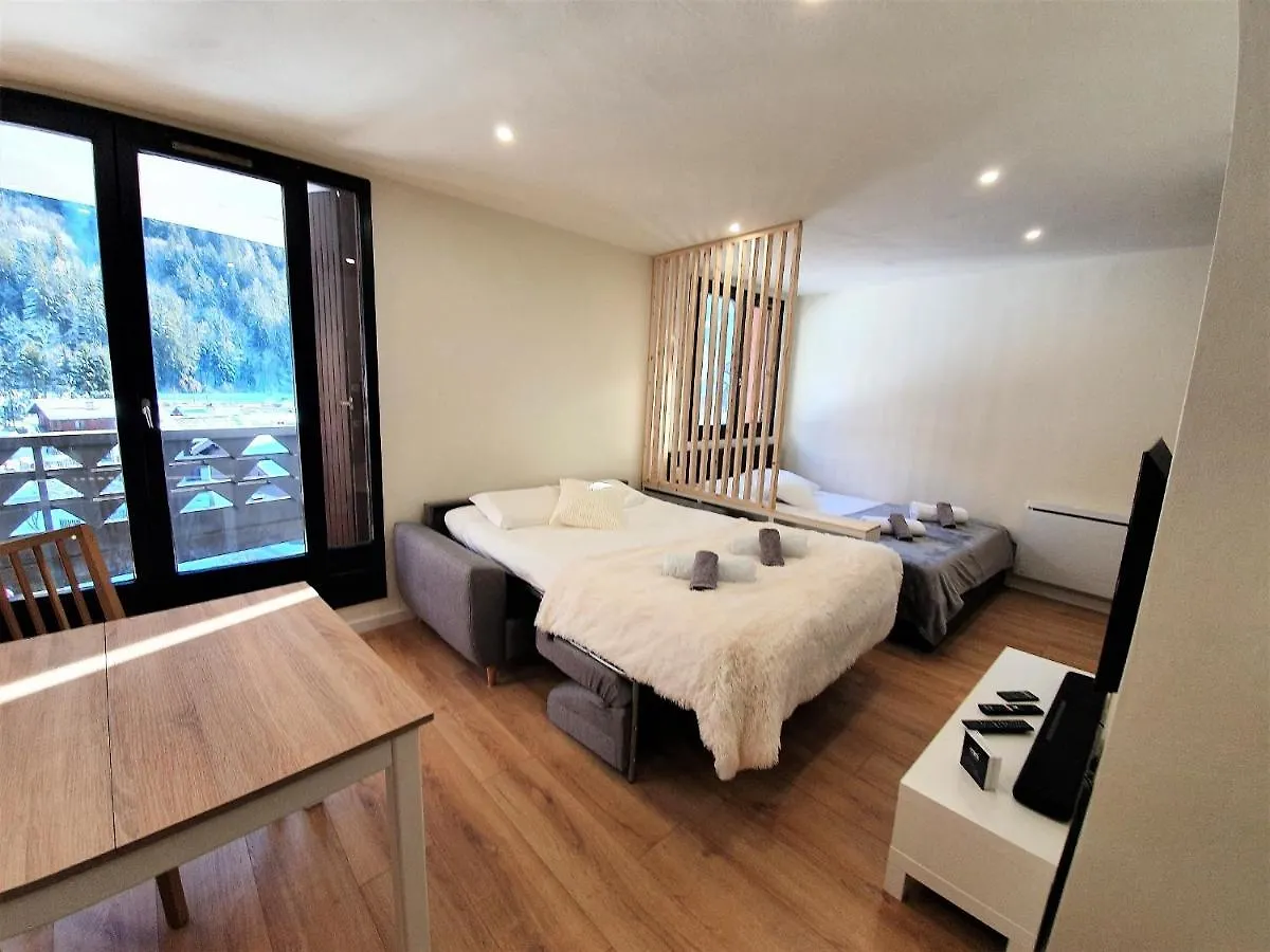 Apartment Grand Studio Aiguille Du Midi Et Vue Mont Blanc Chamonix France